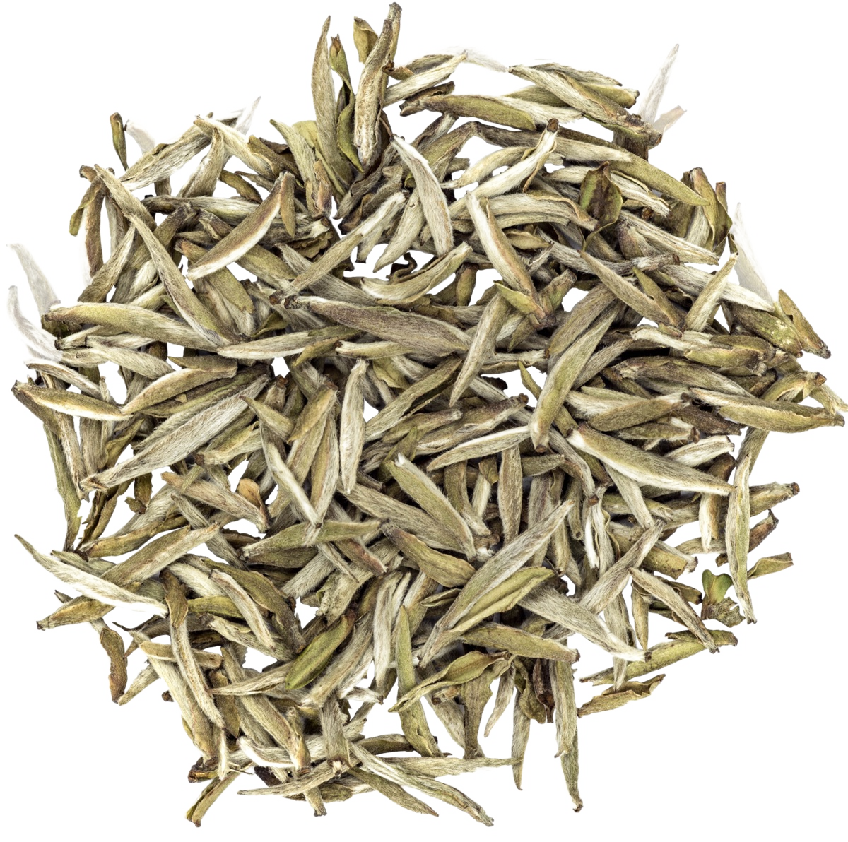 Pre-Qingming Yinzhen — Silver Needle white tea from Fuding, April 2026